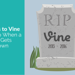 alternatives to vine