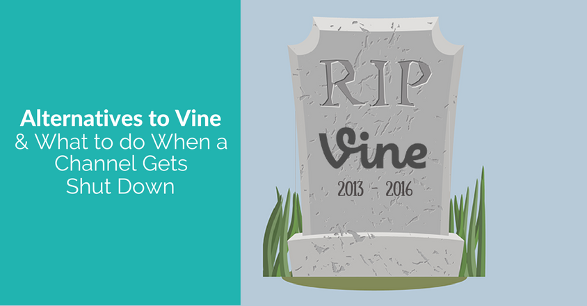 alternatives to vine