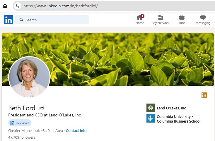 Beth Ford's LinkedIn profile showcasing her professional background and experience at Land O’Lakes.